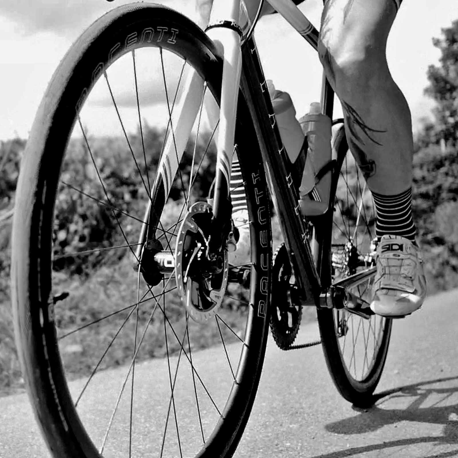 FORZA-C 30MM DISC CLINCHER WHEELS 700C Sram – Pacenti Cycle Design